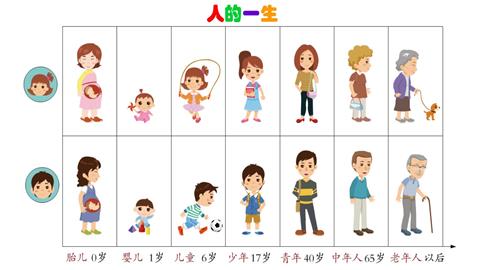 人的一生