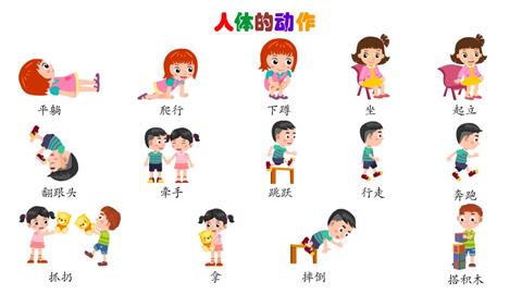 人体的动作