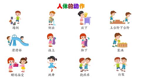 人体的动作