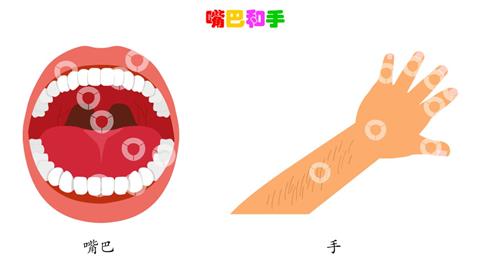 嘴巴和手
