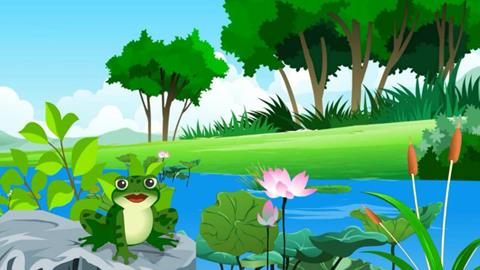  一只青蛙的成长