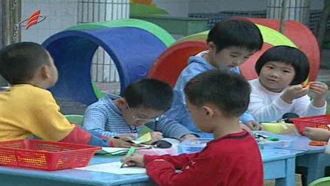 探究活动案例示范与评析