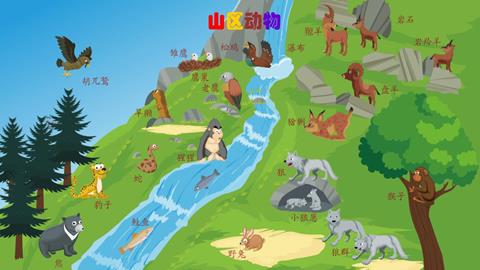 山区动物