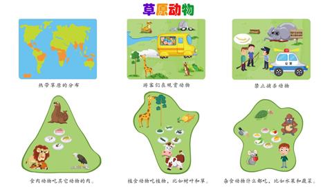 草原动物的分布