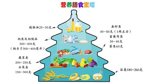 营养膳食宝塔