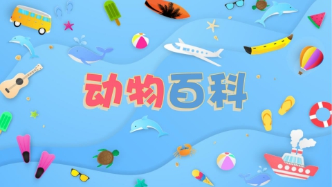 动物百科