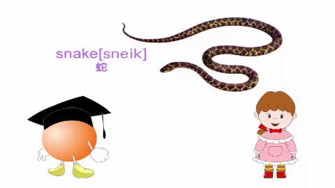 学单词-第十一节