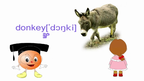 学单词-第十二节