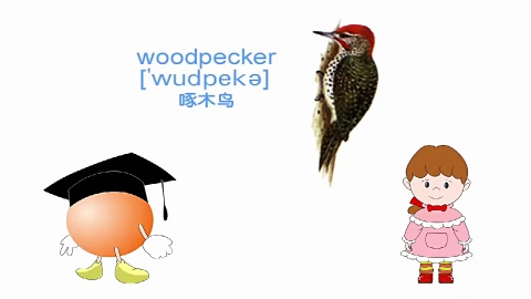 学单词-第十三节