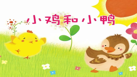 小鸡和小鸭