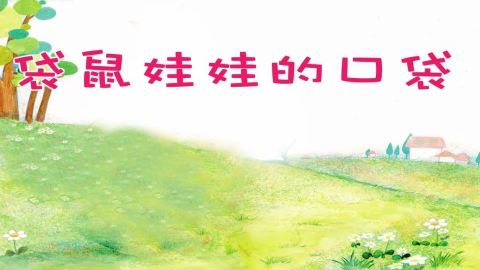 袋鼠娃娃的口袋