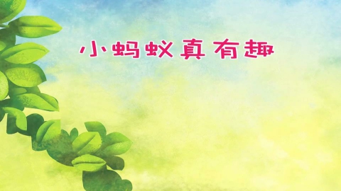 小蚂蚁真有趣