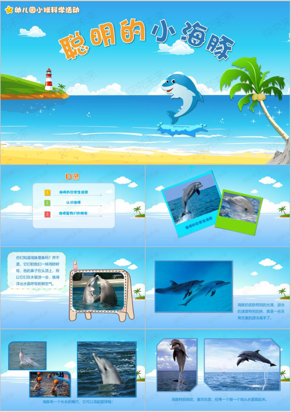 科学-聪明的小海豚