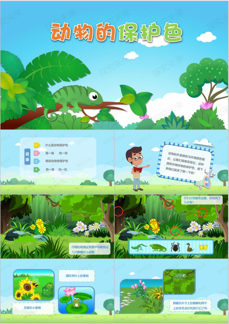 科学-动物的保护色