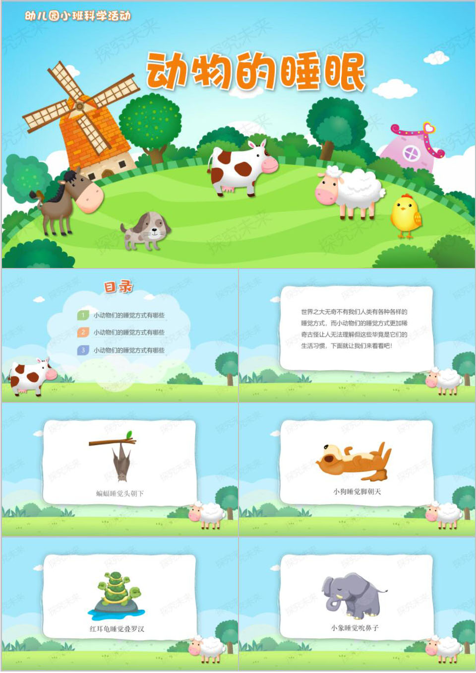 科学-动物的睡眠