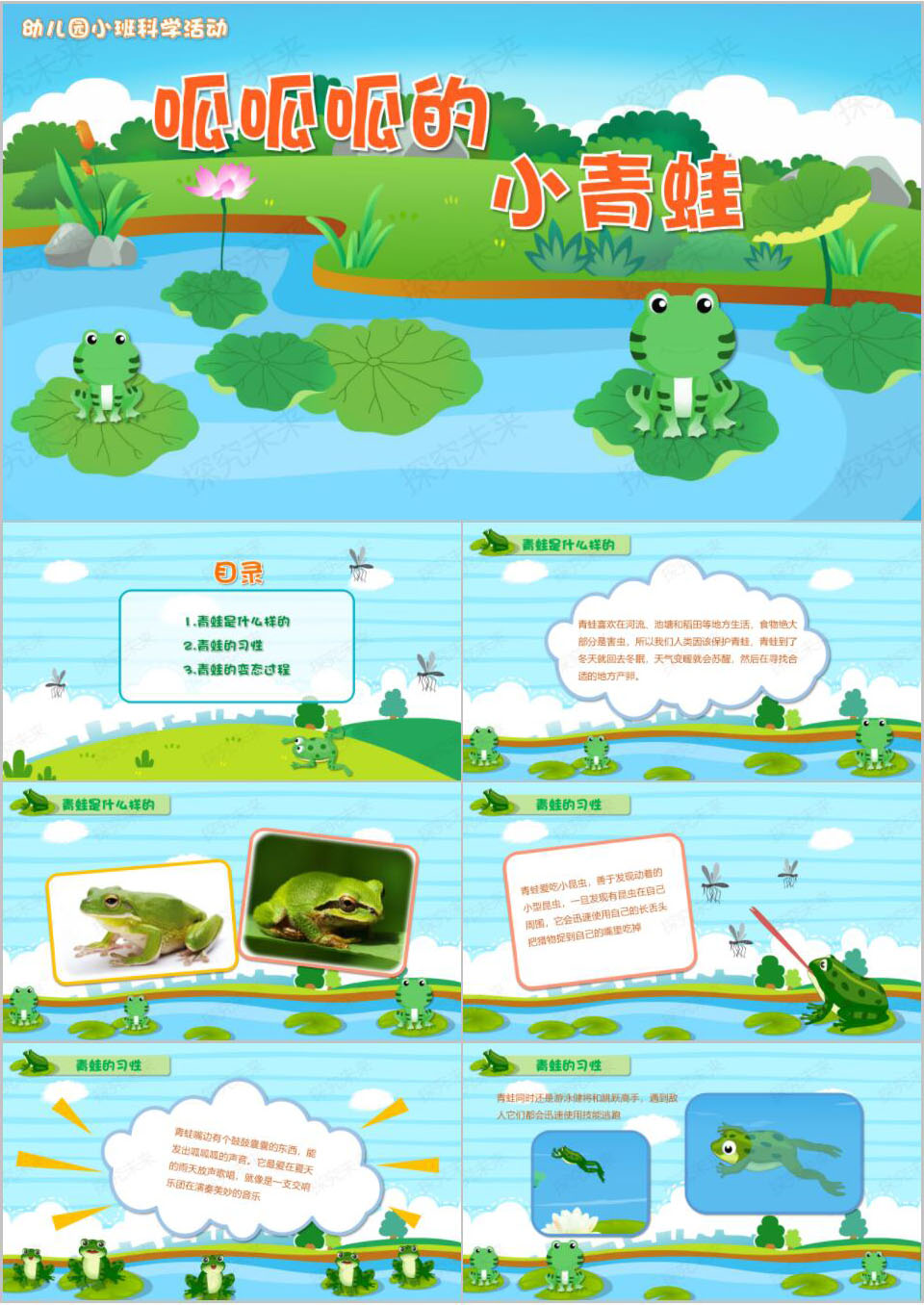 科学-呱呱呱的小青蛙