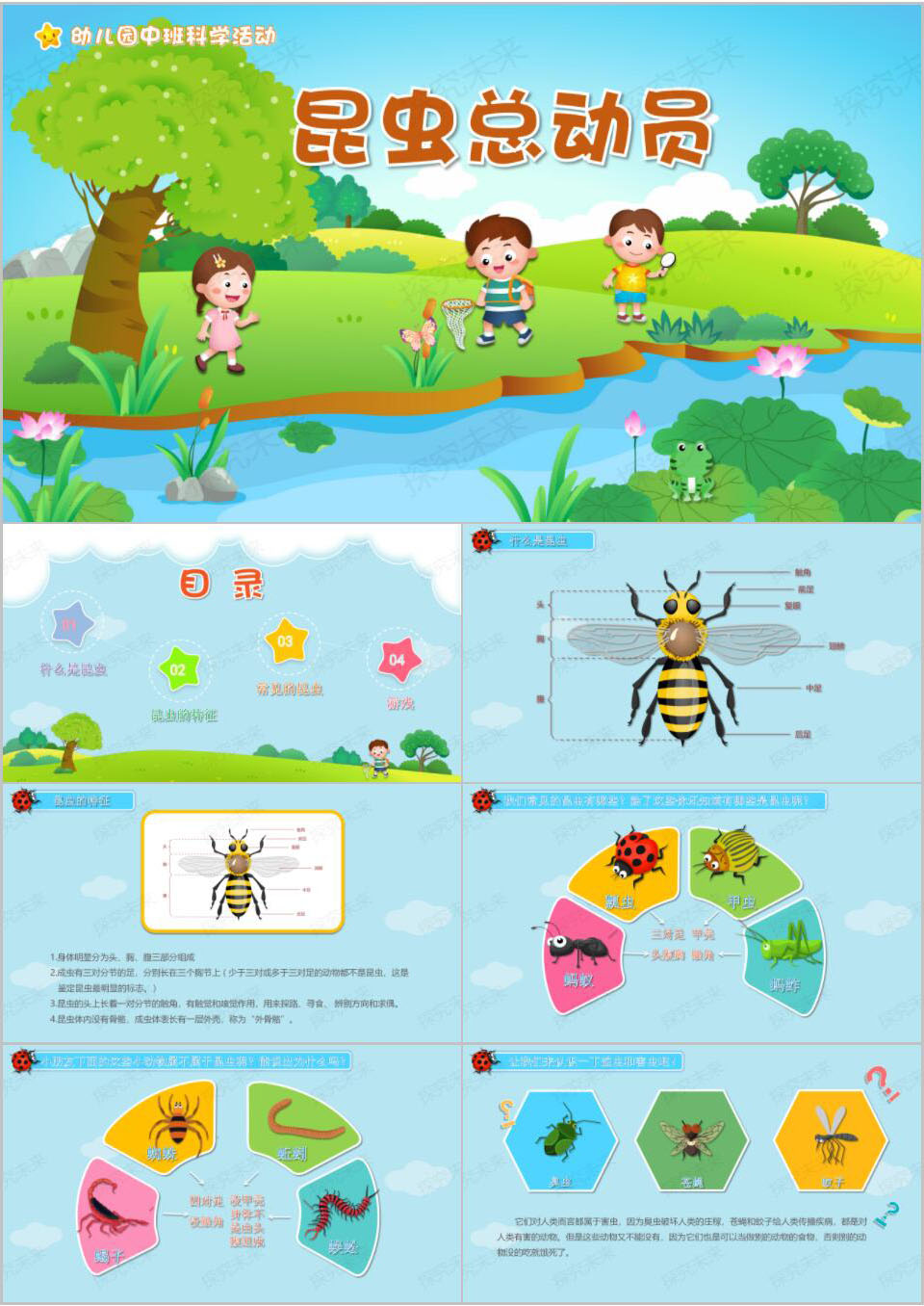 科学-昆虫总动员