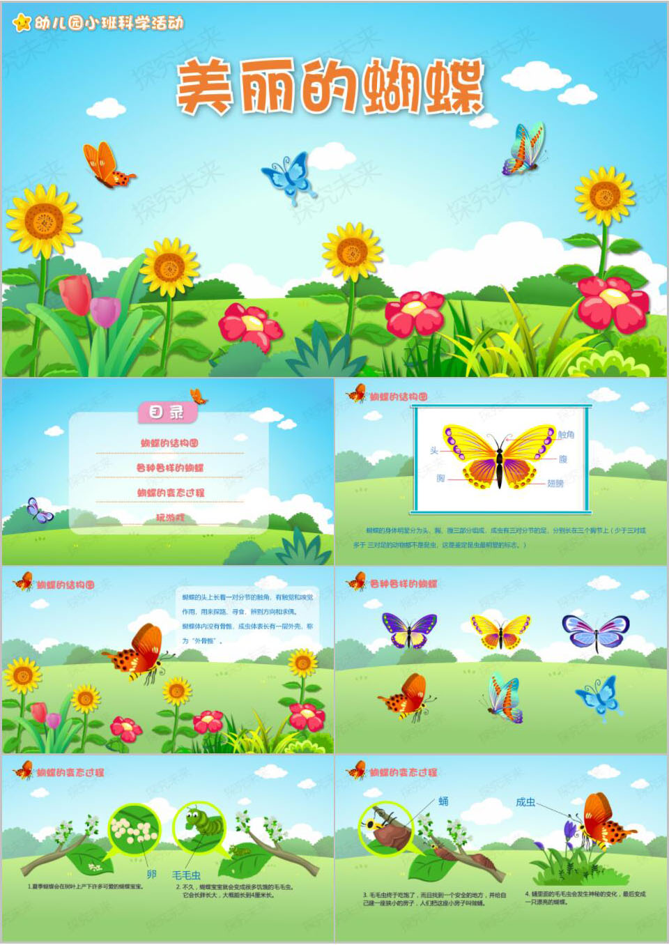 科学-美丽的蝴蝶