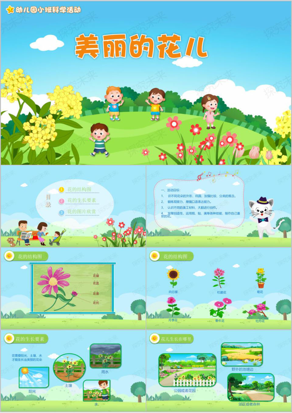 科学-美丽的花儿
