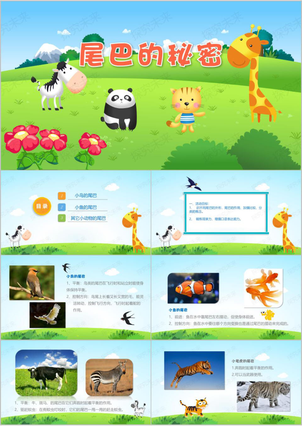科学-尾巴的秘密