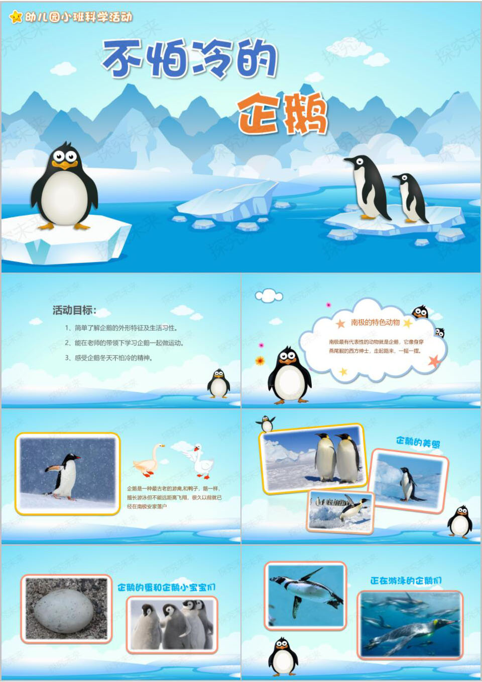 科学-不怕冷的企鹅