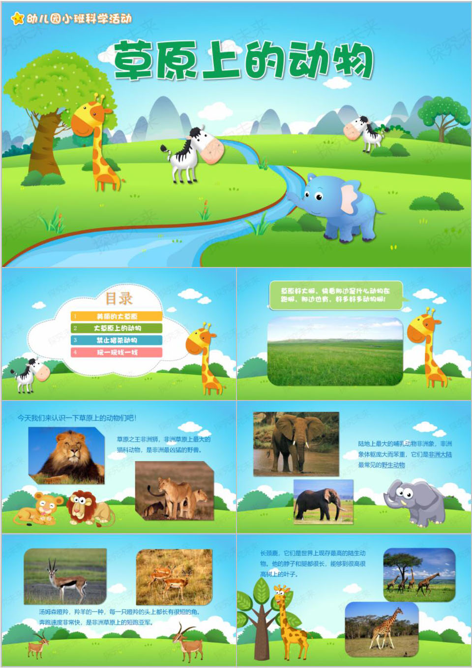 科学-草原上的动物