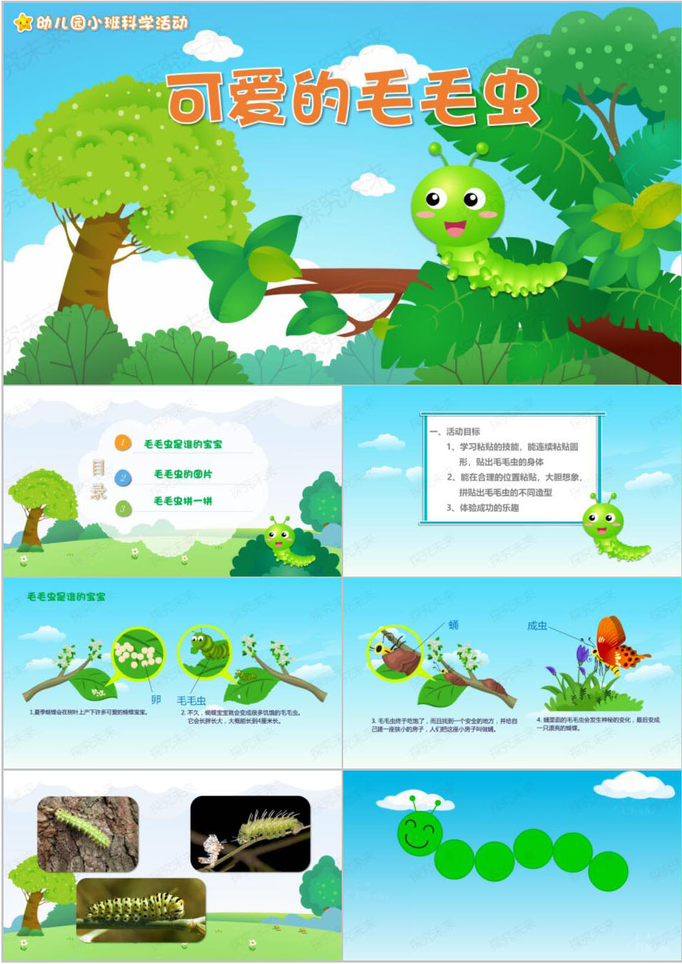科学-可爱的毛毛虫