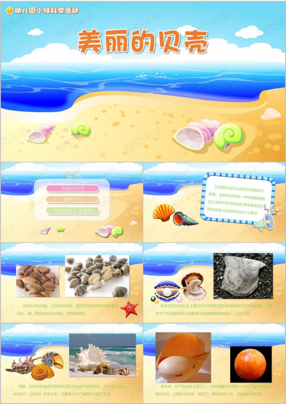 科学-美丽的贝壳