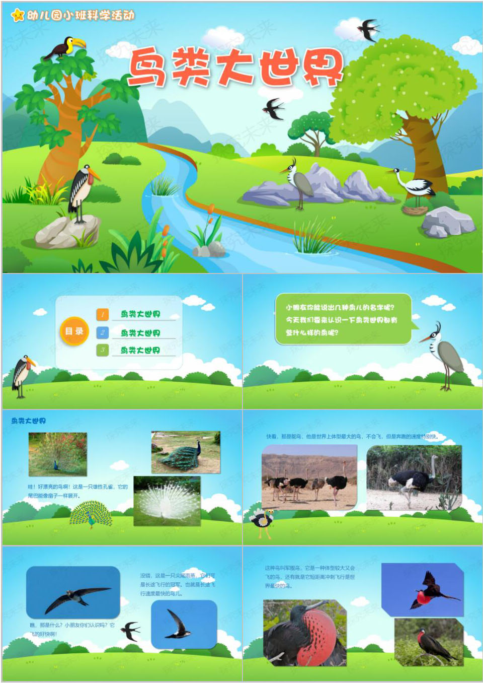 科学-鸟类大世界