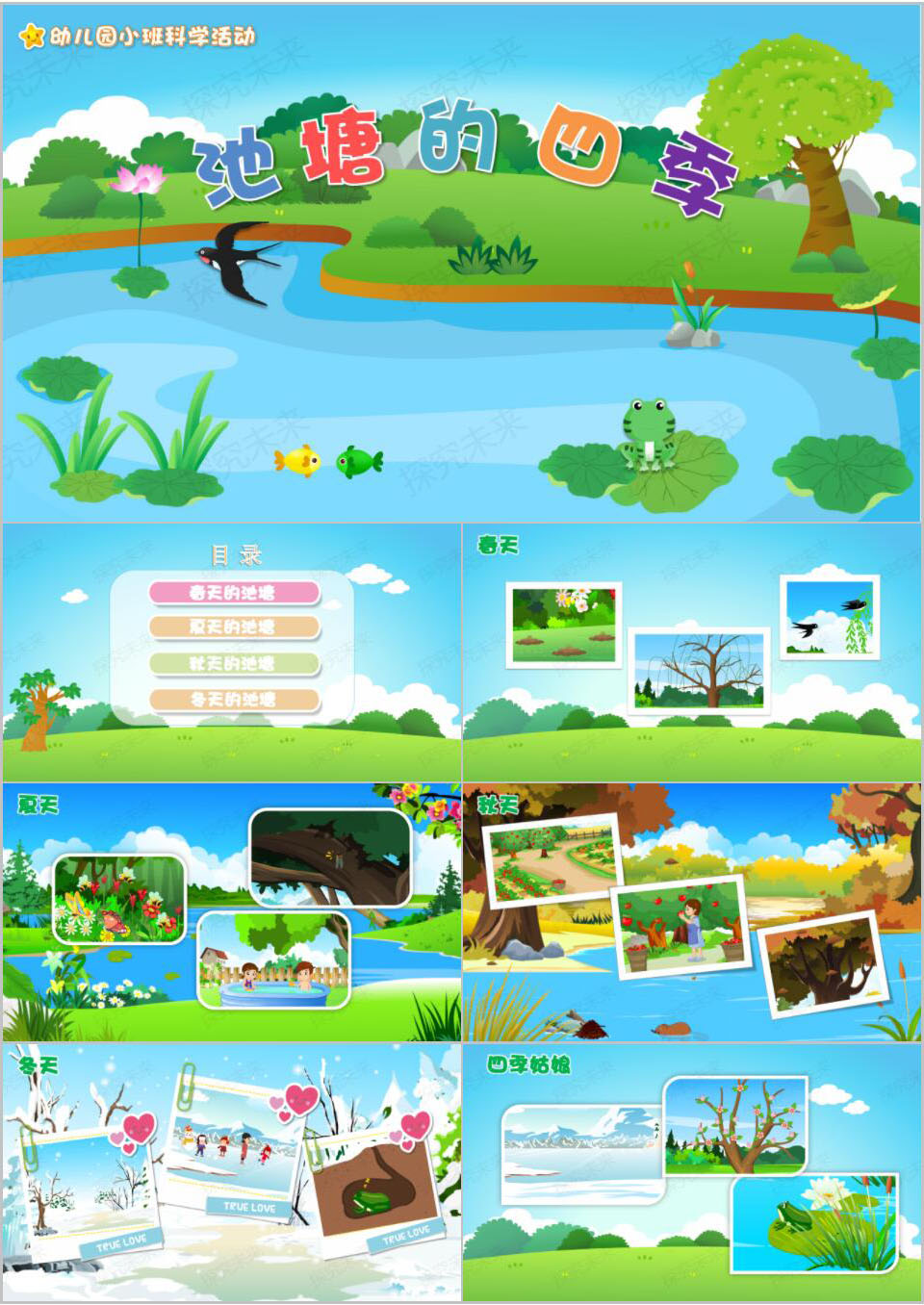 科学-四季池塘