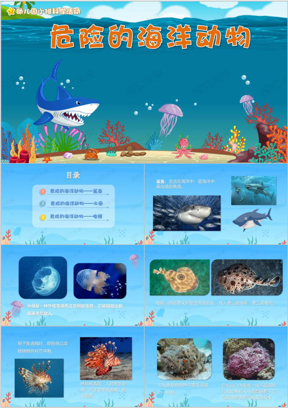 科学-危险的海洋动物