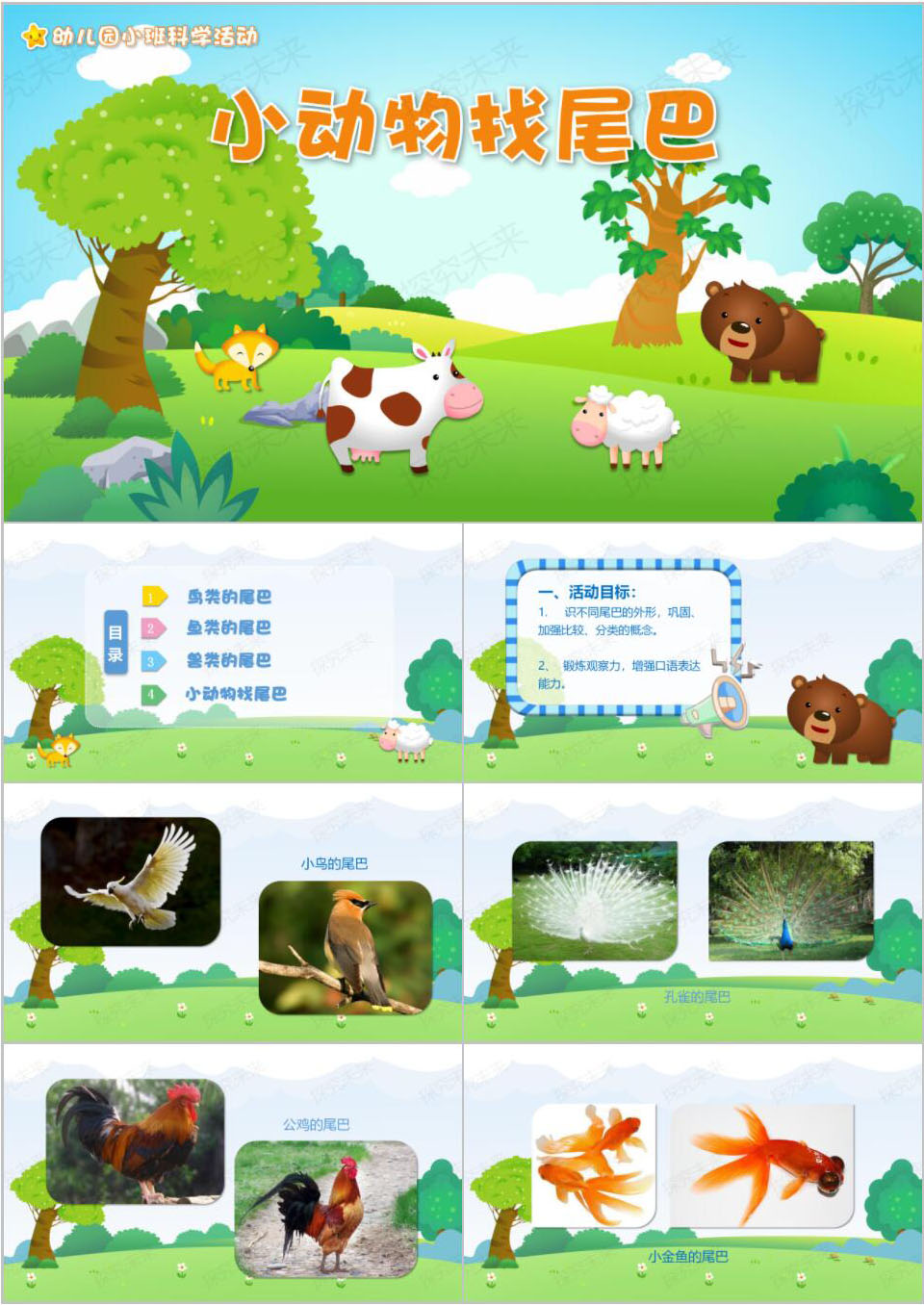 科学-小动物找尾巴