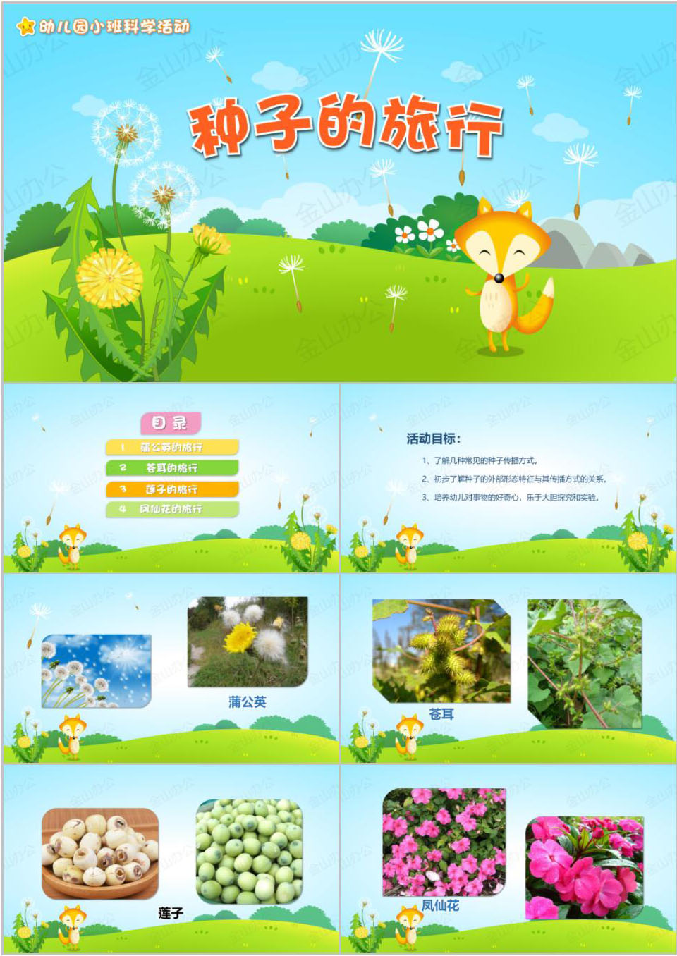 科学-种子的旅行